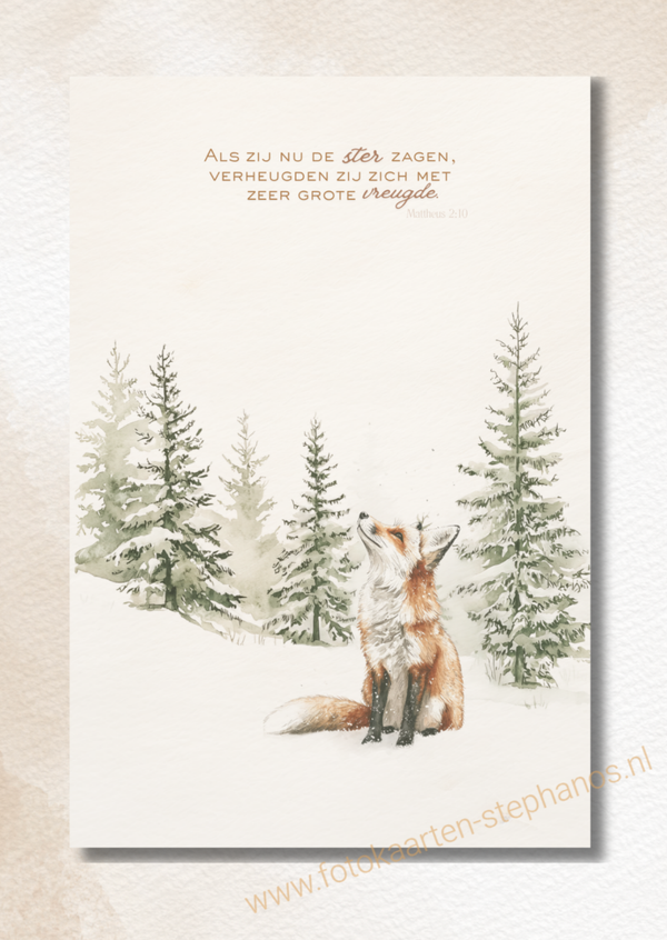 Kerst & Nieuwjaar - Luxe kerstkaarten 23
