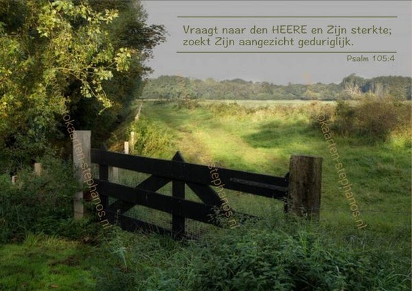 Bijbelteksten & Gedichten 23