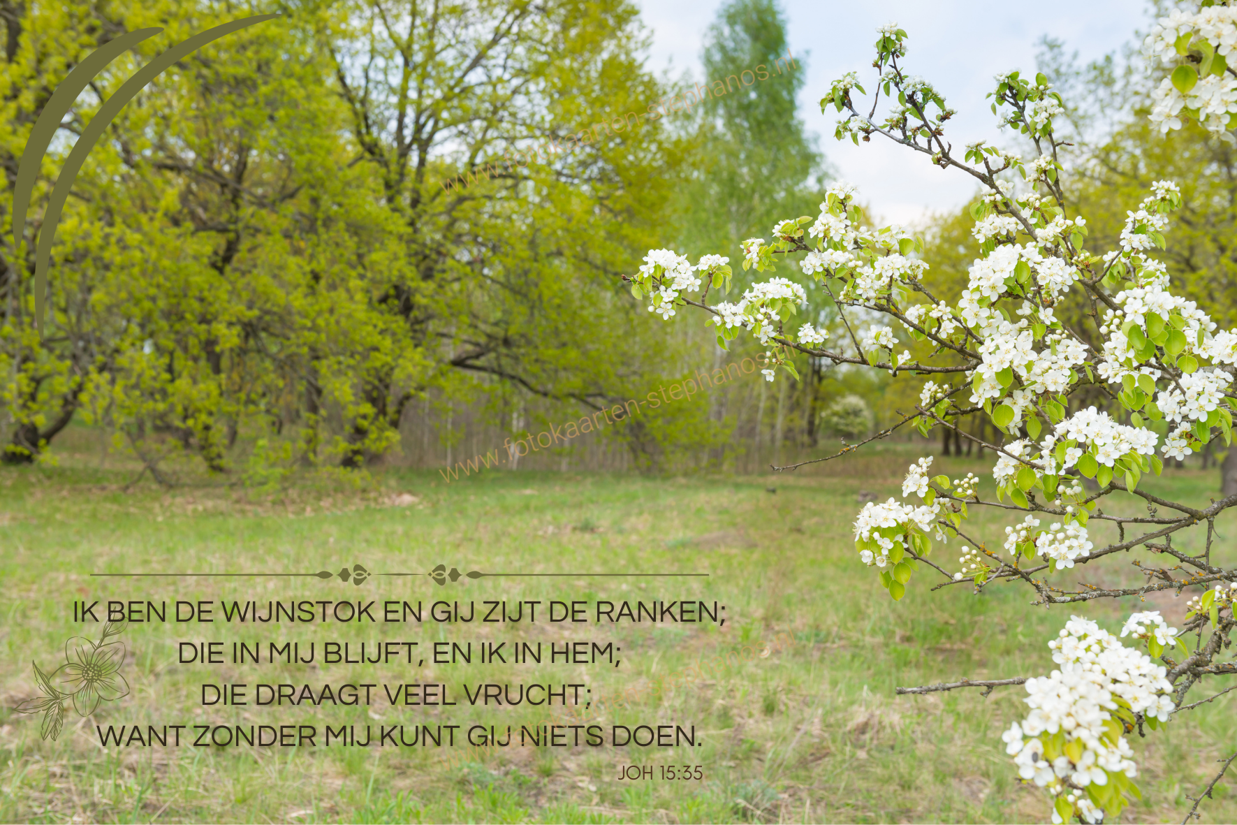 Bijbelteksten & Gedichten 24