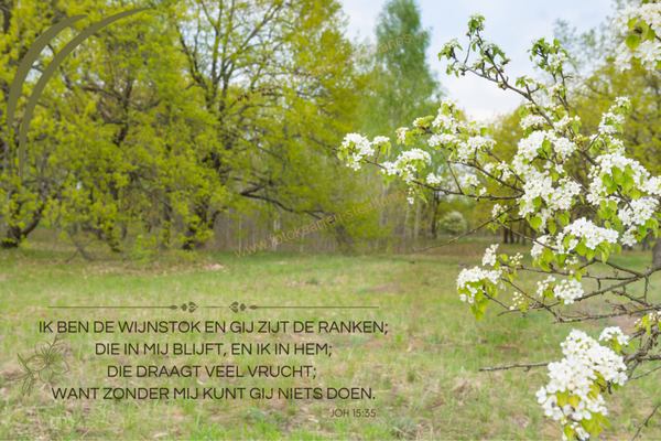 Bijbelteksten & Gedichten 24