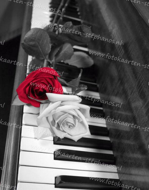 Diversen - Muziekinstrumenten 24