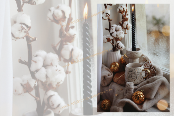 Kerst & Winter - Blanco Winter 25