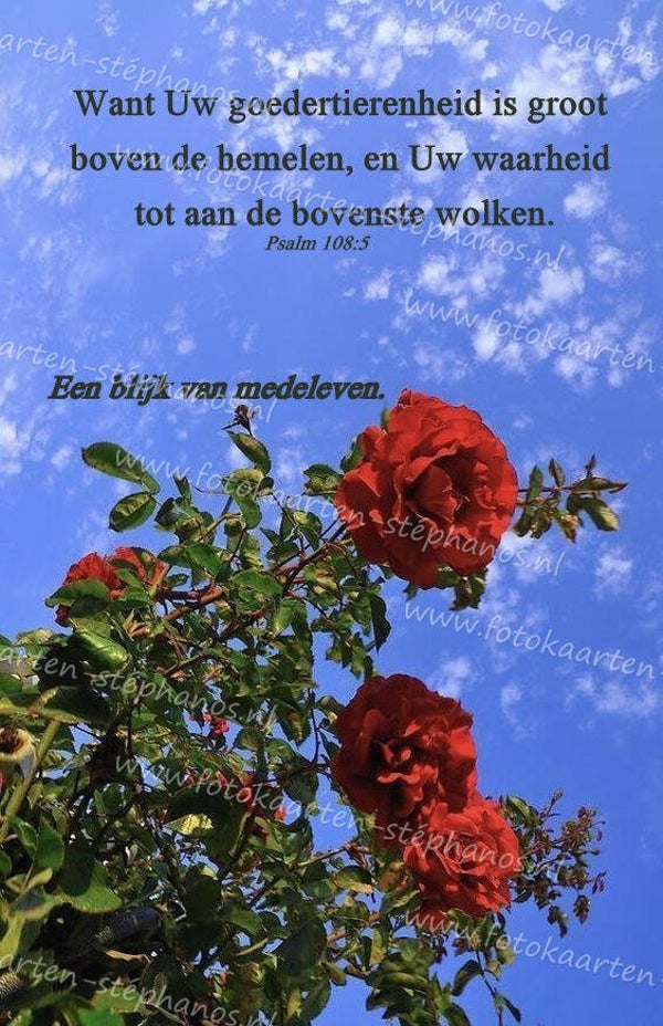 Bijbelteksten & Gedichten 25