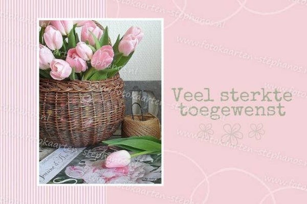 Medeleven - Sterkte 26