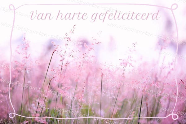 Felicitatie - Vrouw 26