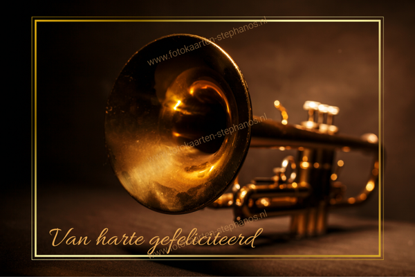 Diversen - Muziekinstrumenten 27