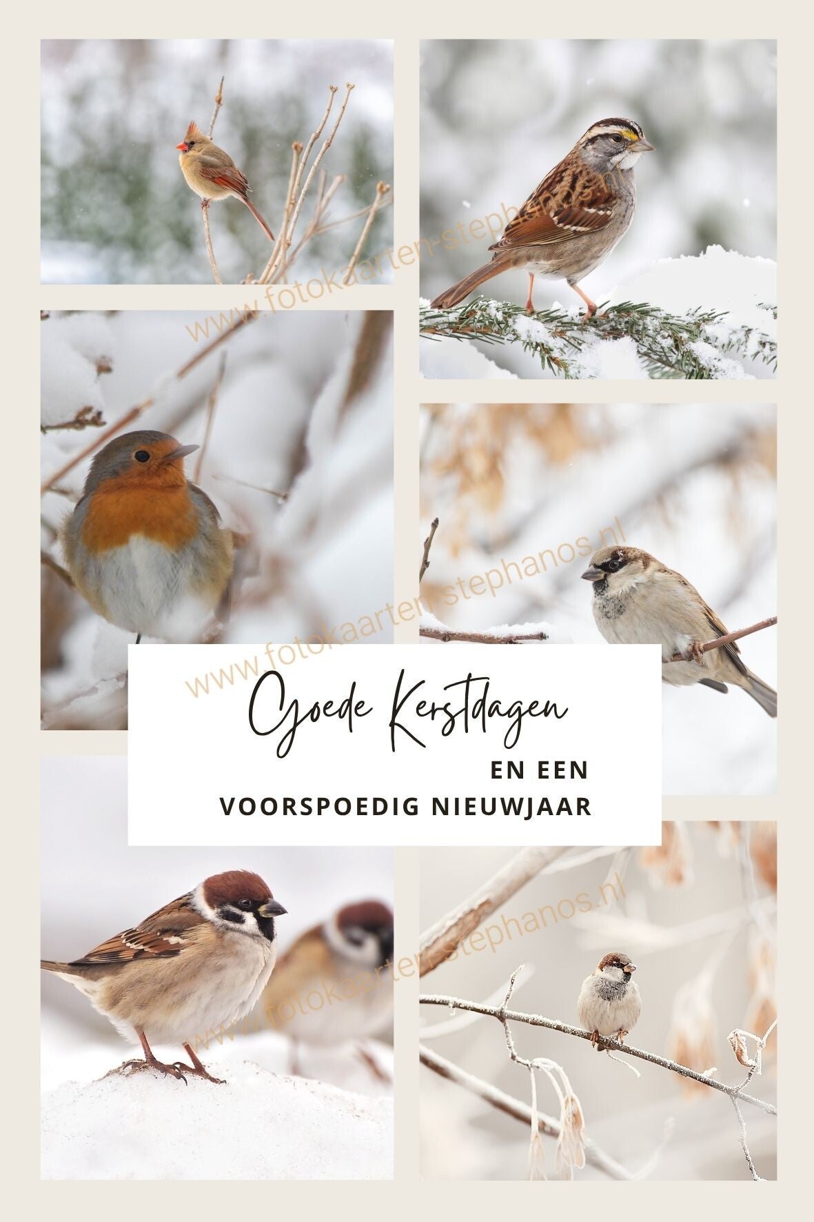 Kerst & Winter - Goede Kerstdagen 27