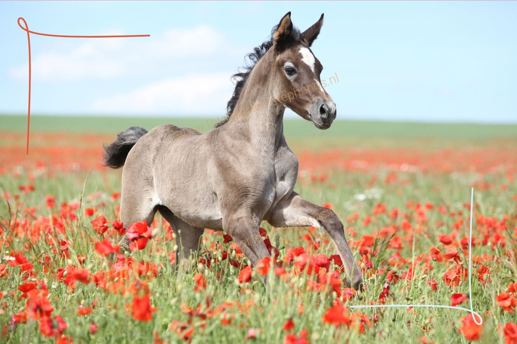 Kinderen - Blanco 28