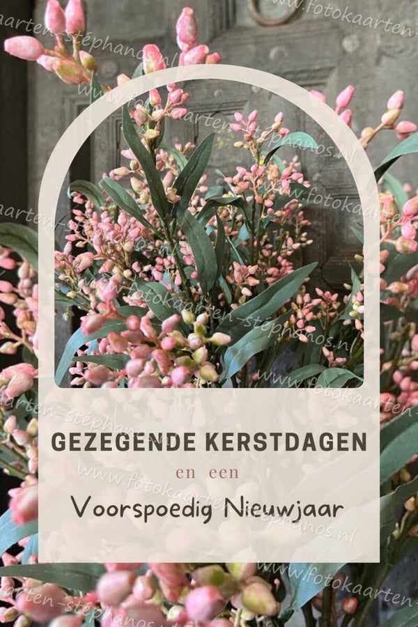 Kerst & Winter - Gezegende Kerstdagen 28