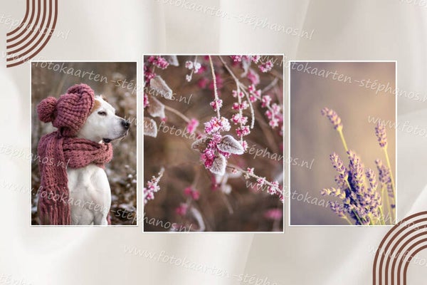 Kerst & Winter - Blanco Winter 22