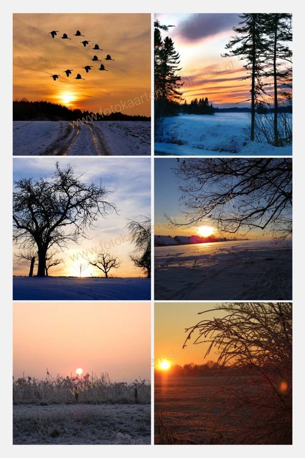 Kerst & Winter - Blanco Winter 29