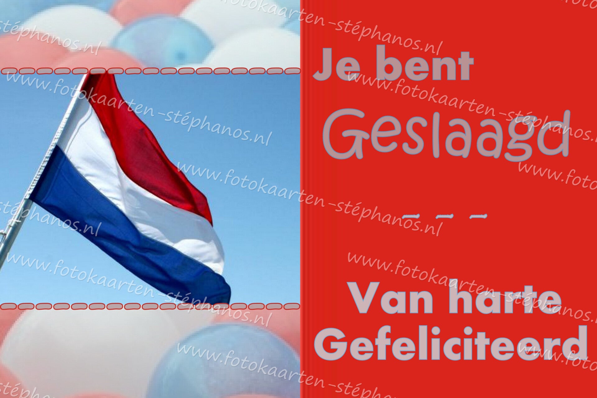 Diversen - Geslaagd 07