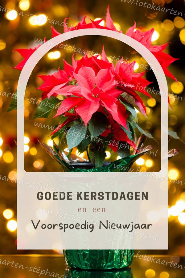 Kerst & Winter - Goede Kerstdagen 20