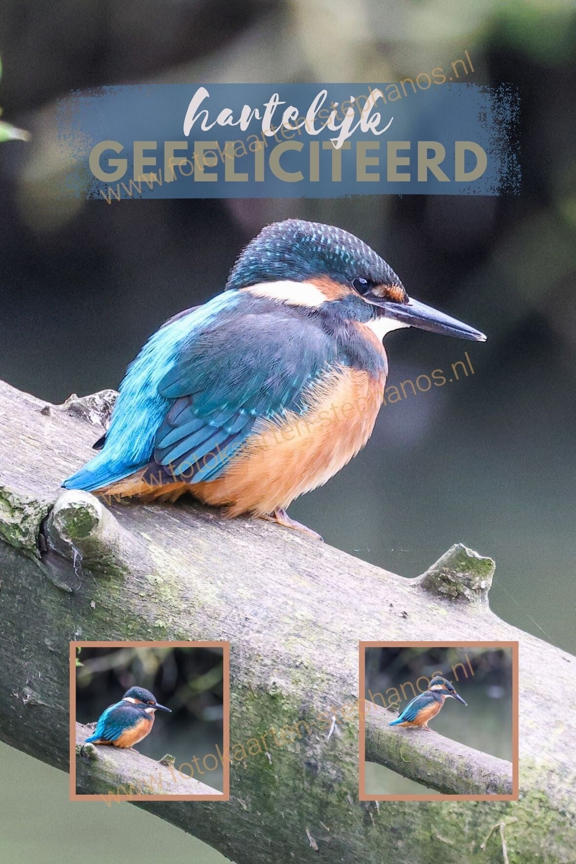 Felicitatie - Man 30