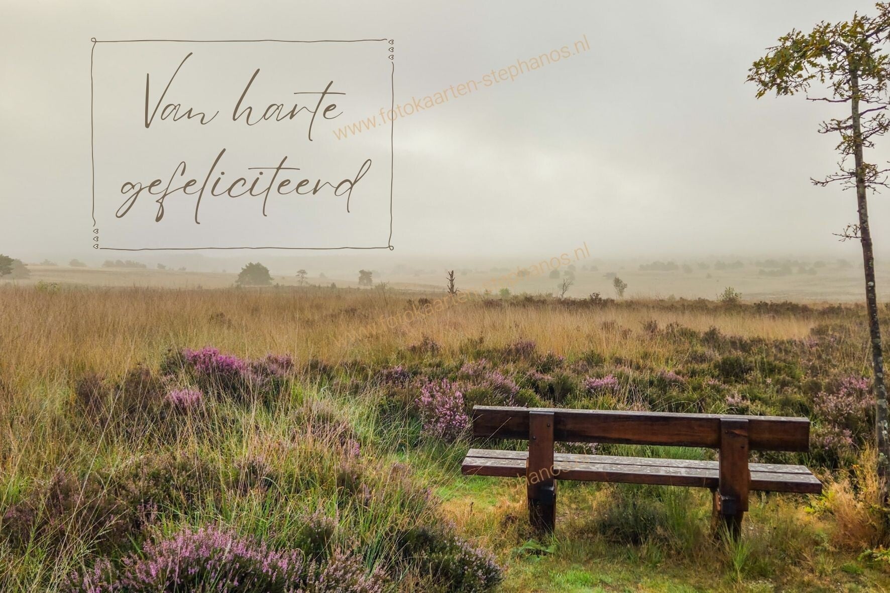 Felicitatie - Man 32