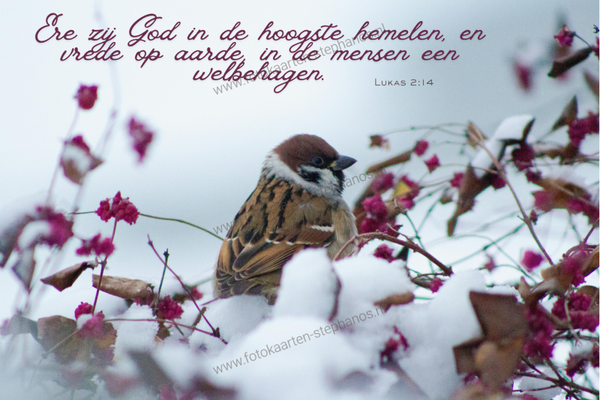 Kerst & Winter - Gezegende Kerstdagen 33