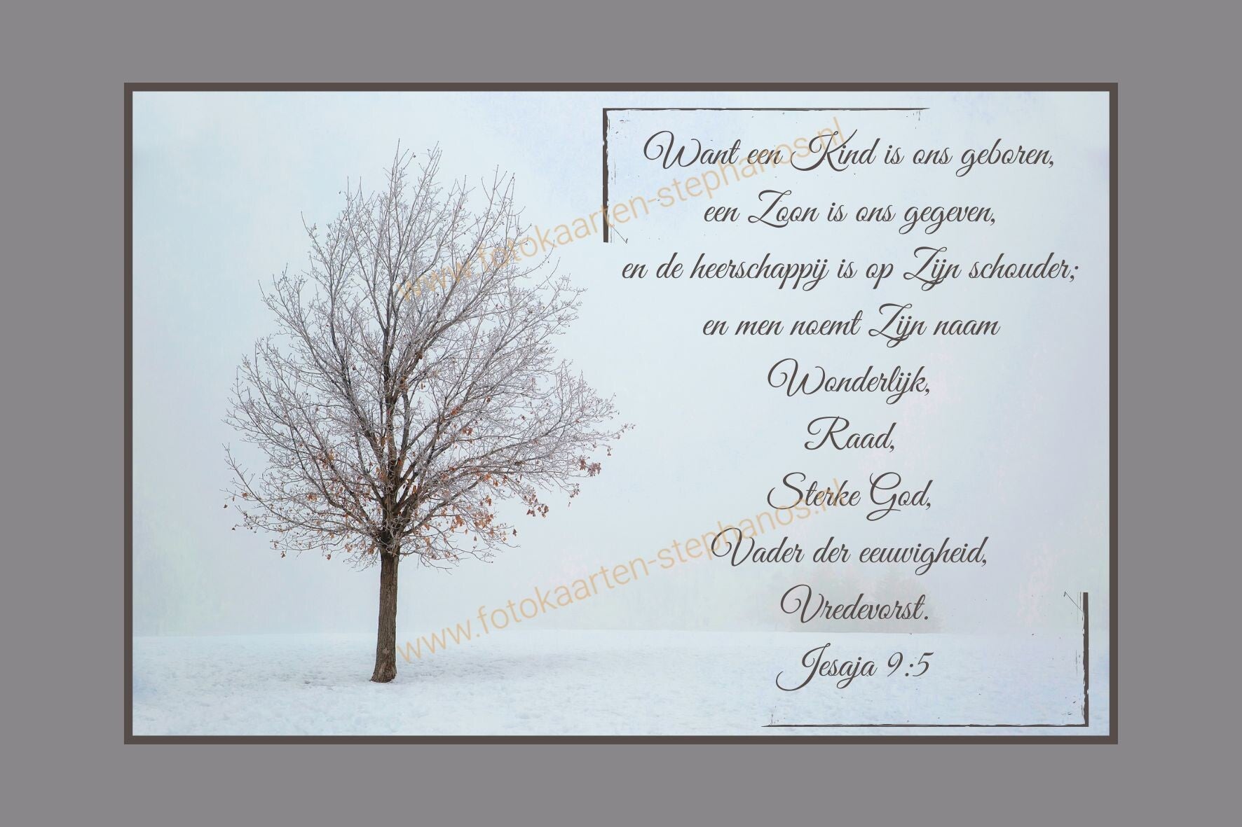 Kerst & Winter - Gezegende Kerstdagen 36