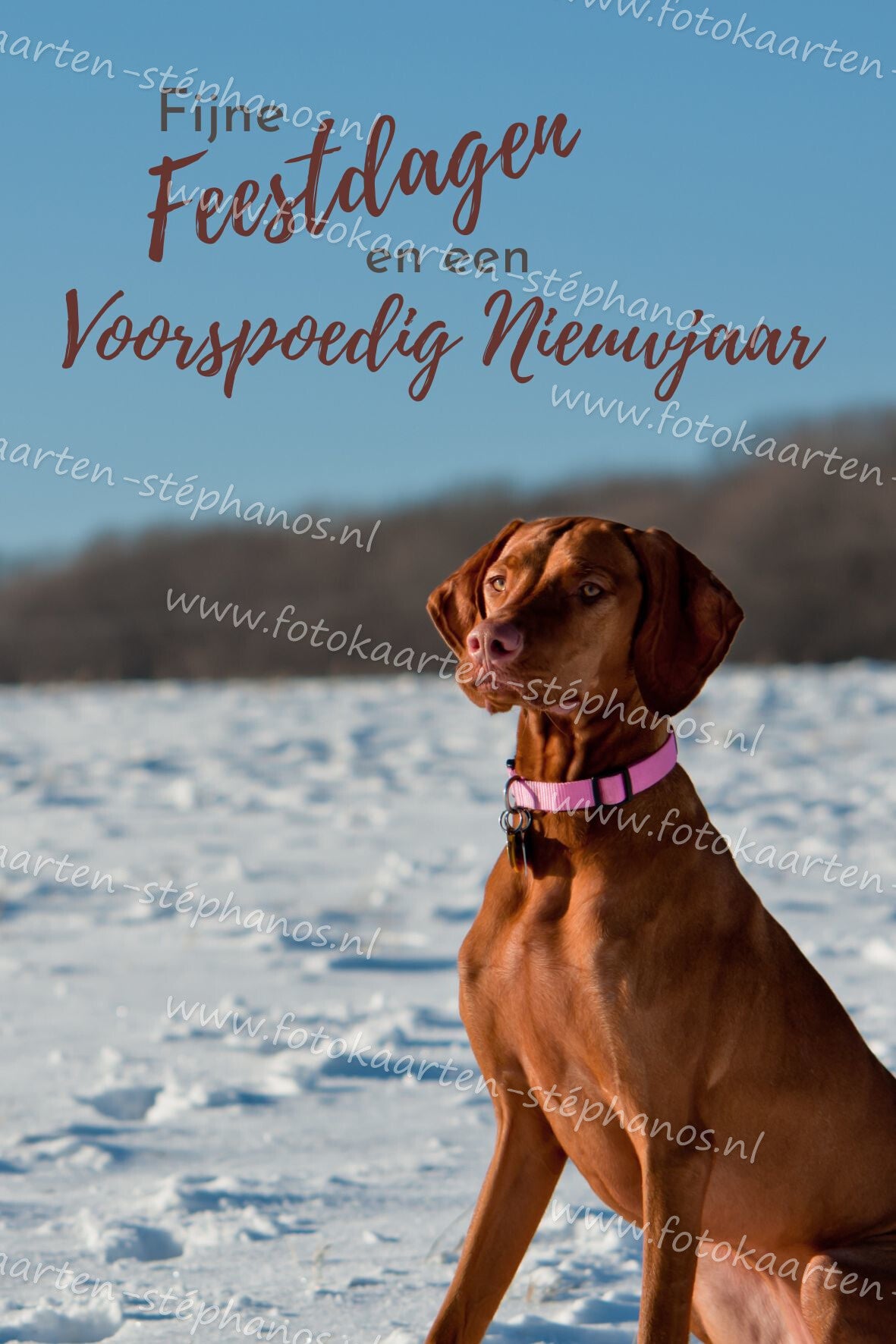 Kerst & Winter - Goede Kerstdagen 34