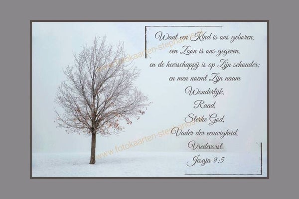 Kerst & Winter - Gezegende Kerstdagen 36