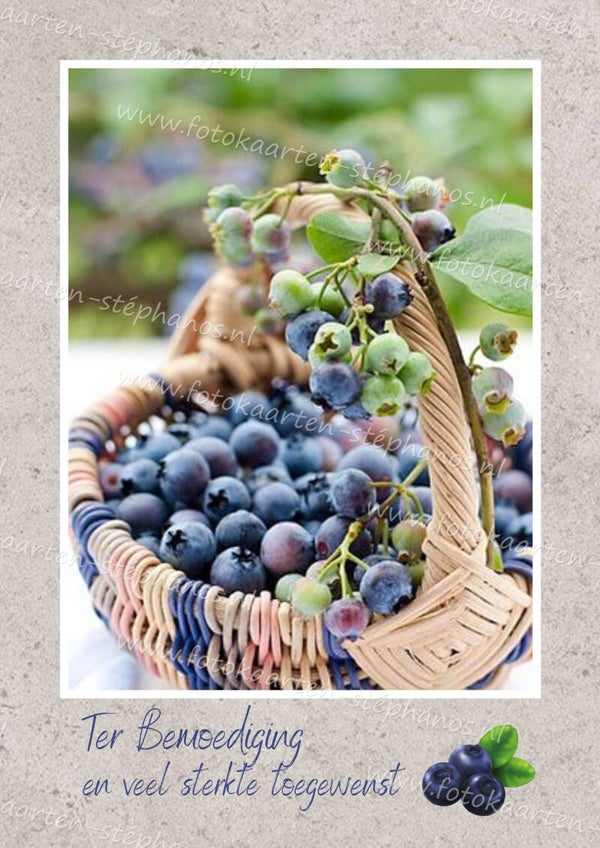 Medeleven - Ter Bemoediging 05