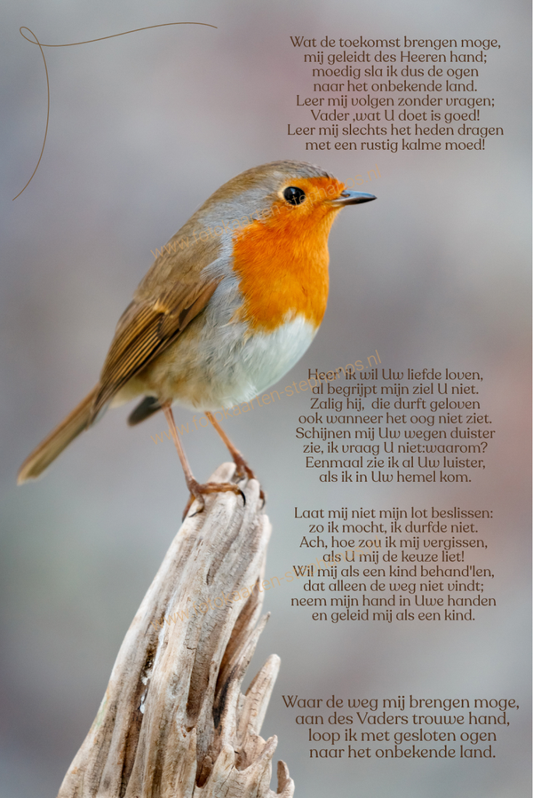 Bijbelteksten & Gedichten 36