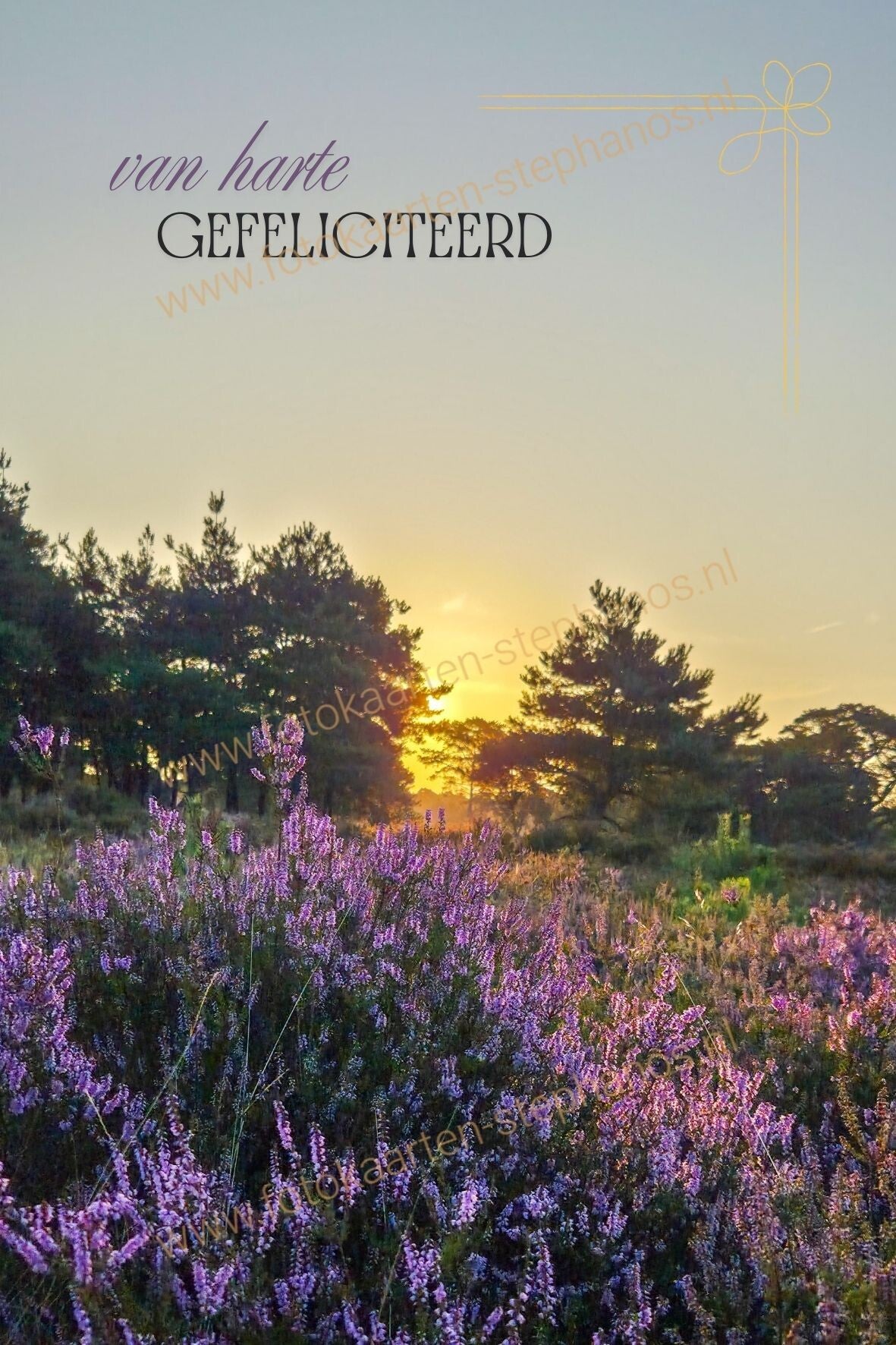 Felicitatie - Vrouw 37