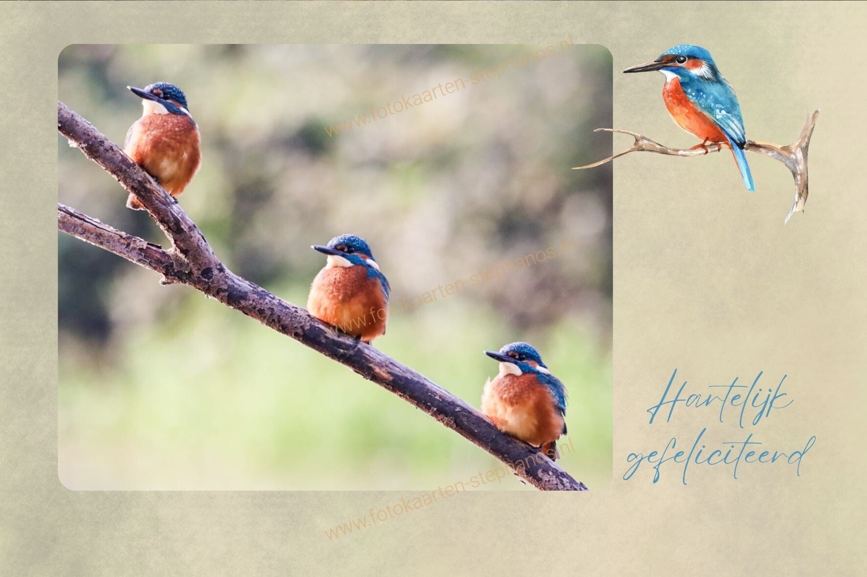 Felicitatie - Man 37