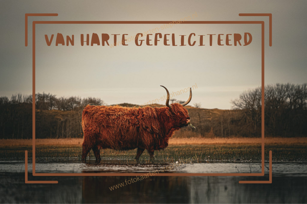 Felicitatie - Man 37