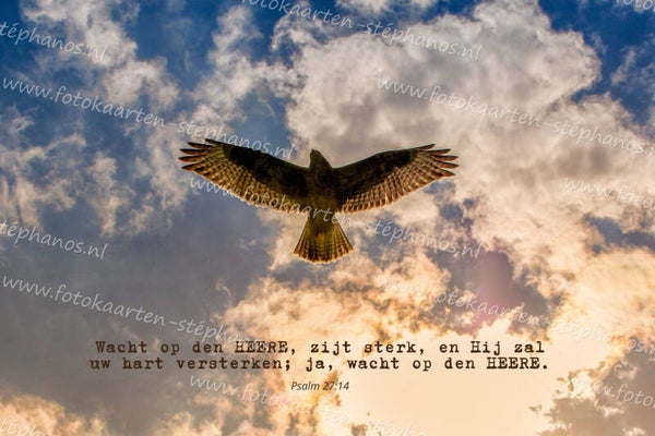 Bijbelteksten & Gedichten 14