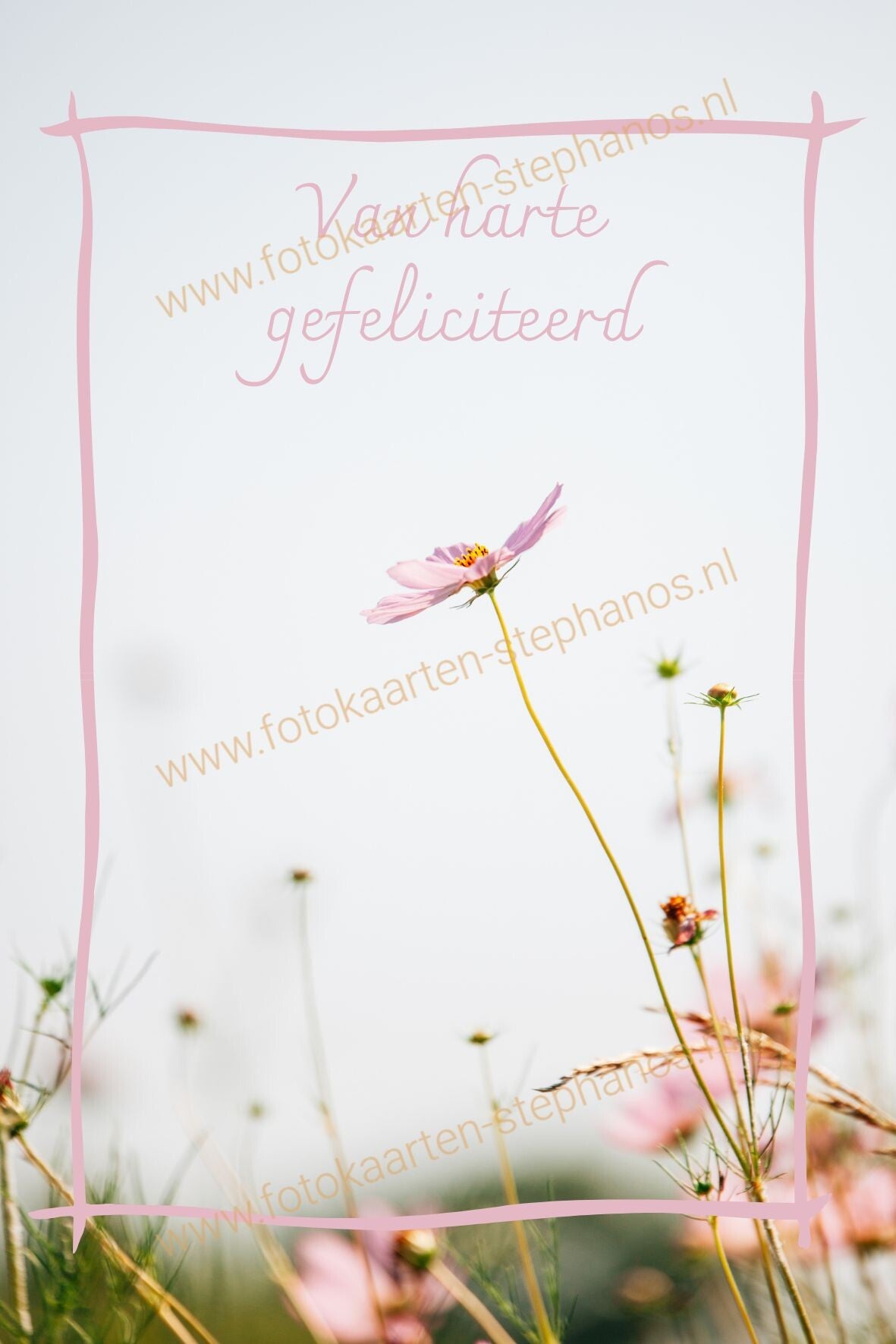 Felicitatie - Vrouw 38