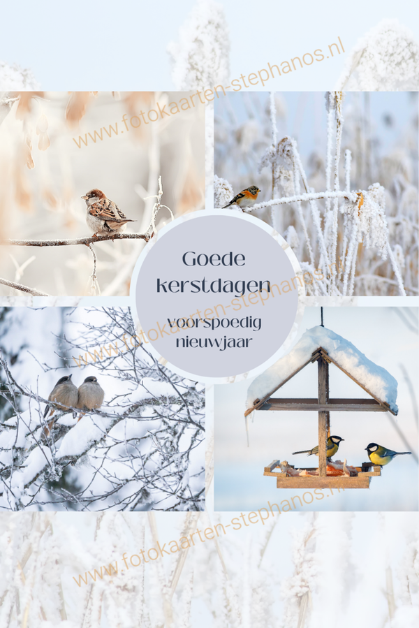 Kerst & Winter - Goede Kerstdagen 38