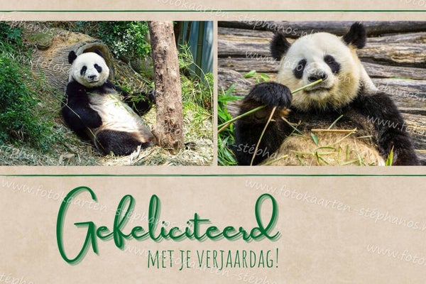 Kinderen - Felicitatie 40