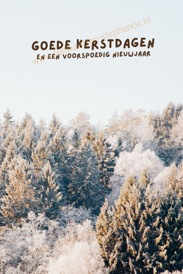 Kerst & Winter - Goede Kerstdagen 41