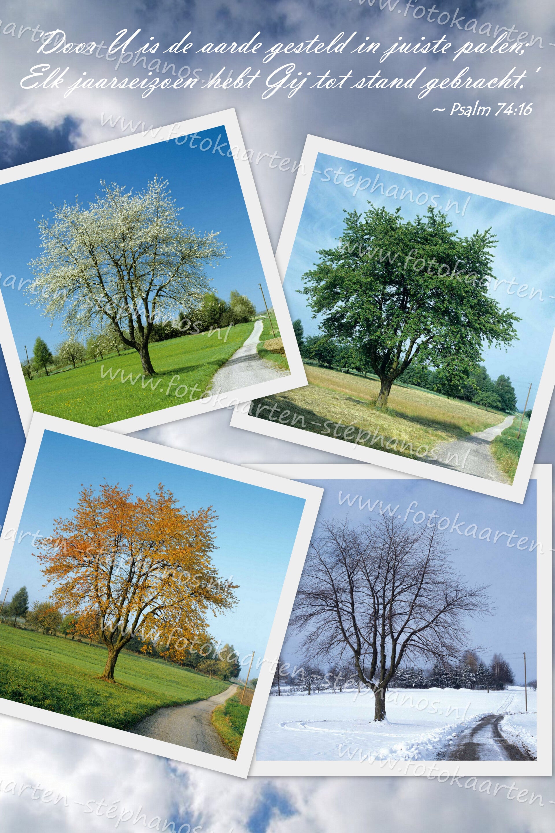 Bijbelteksten & Gedichten 42