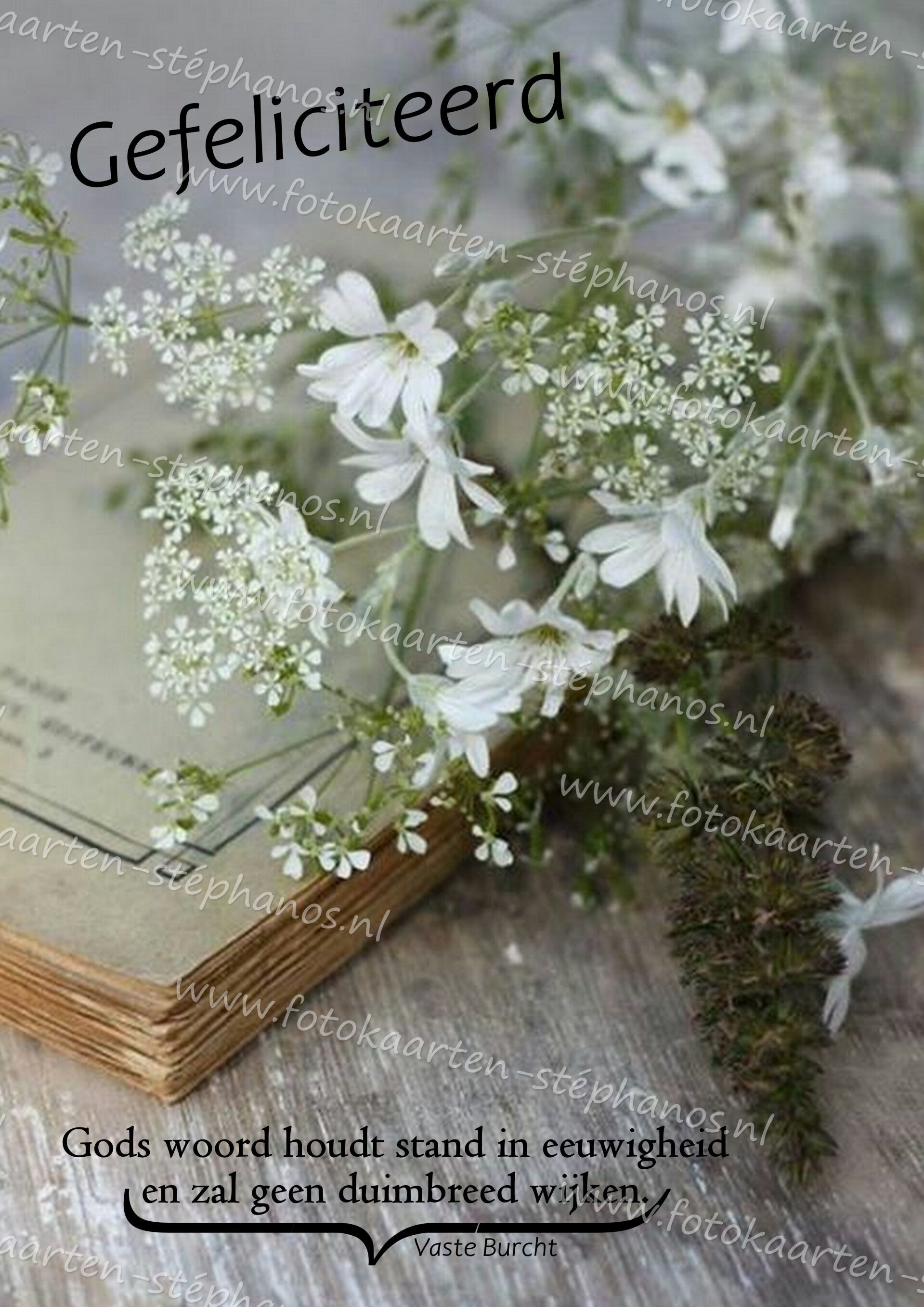 Bijbelteksten & Gedichten 43