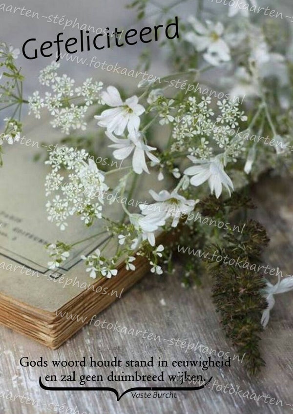 Bijbelteksten & Gedichten 43