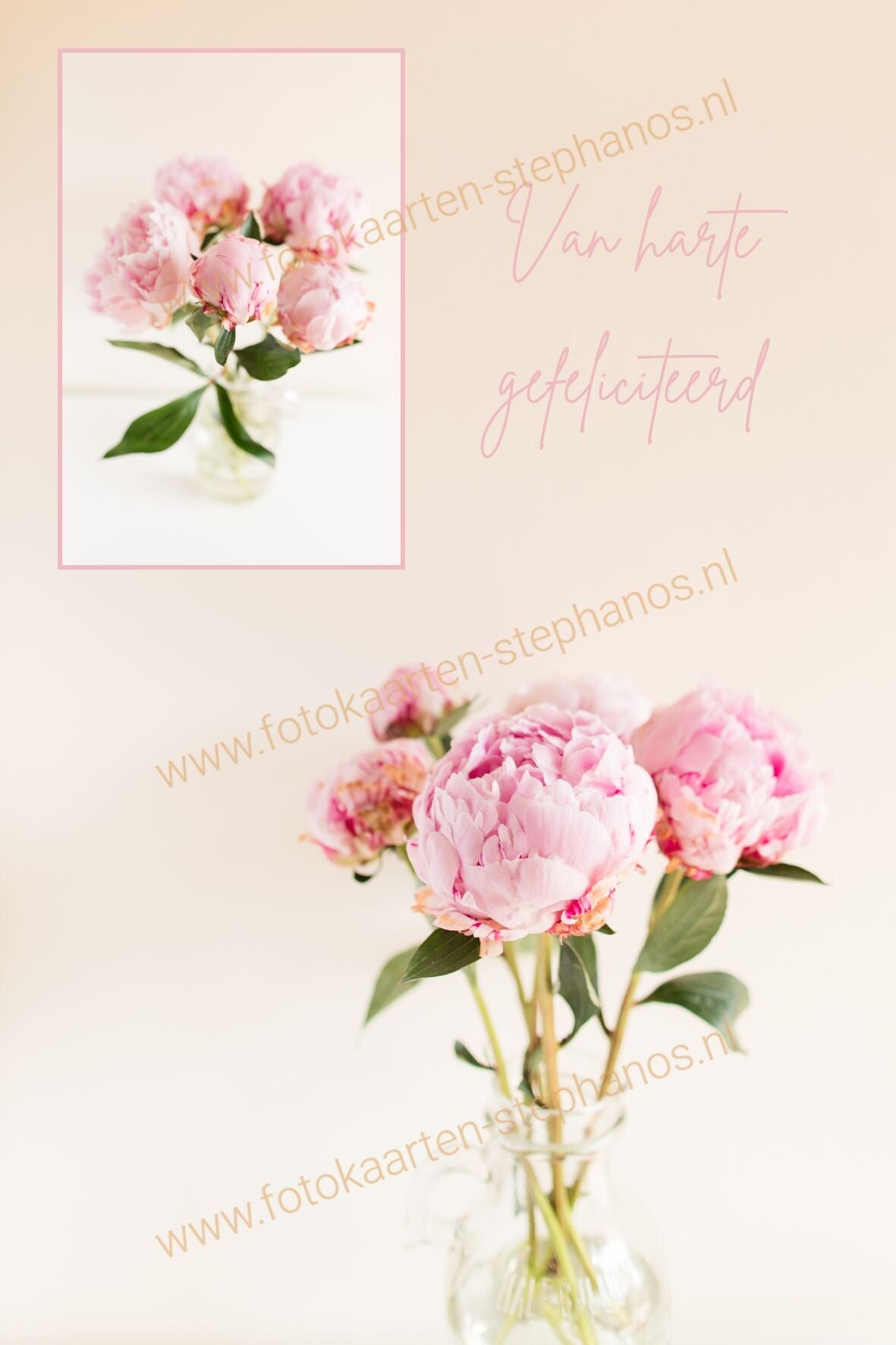 Felicitatie - Vrouw 43