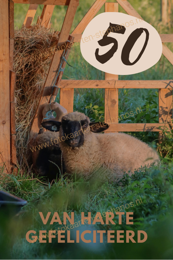 Felicitatie - Man 43