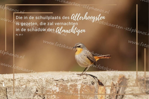 Bijbelteksten & Gedichten 01