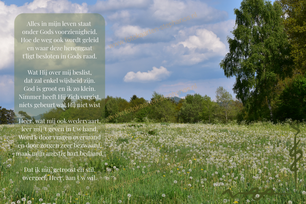 Bijbelteksten & Gedichten 45