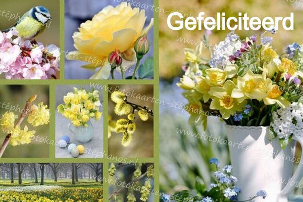 Felicitatie - Vrouw 47