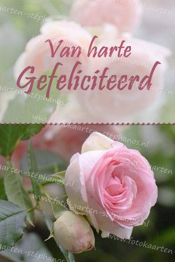 Felicitatie - Vrouw 48