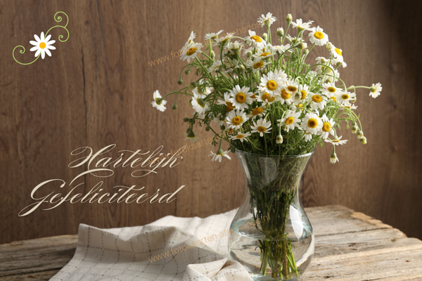 Felicitatie - Vrouw 48