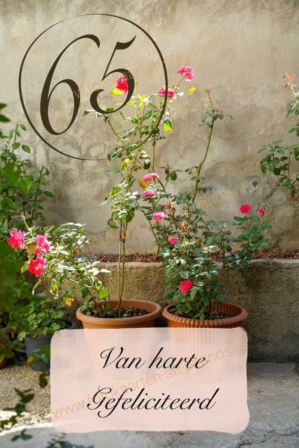 Felicitatie - Vrouw 59