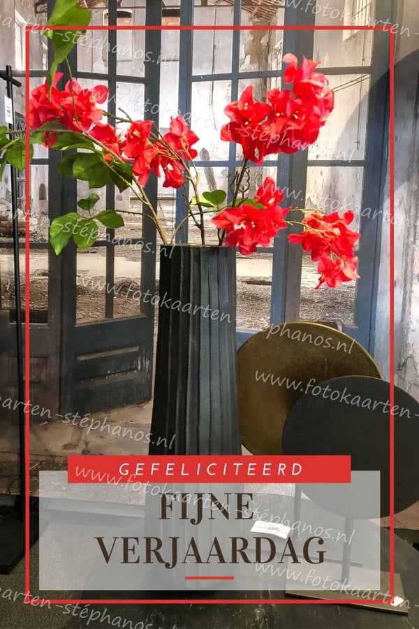 Felicitatie - Vrouw 12