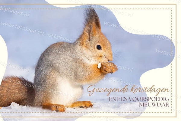 Kerst & Winter - Gezegende Kerstdagen 18