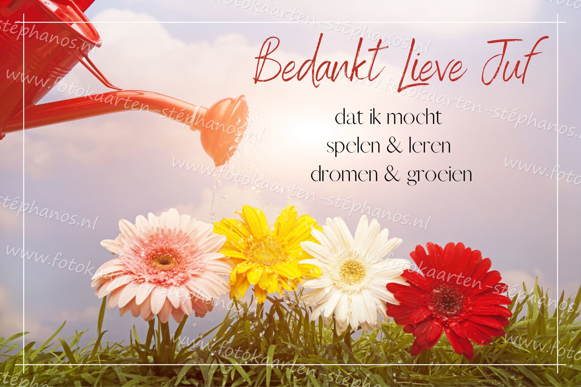 Diversen - Juf / Meester 04