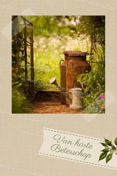 Medeleven - Beterschap 12