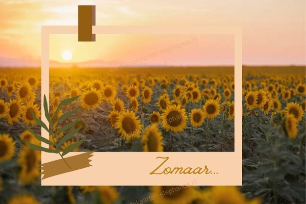 Diversen - Zomaar 07
