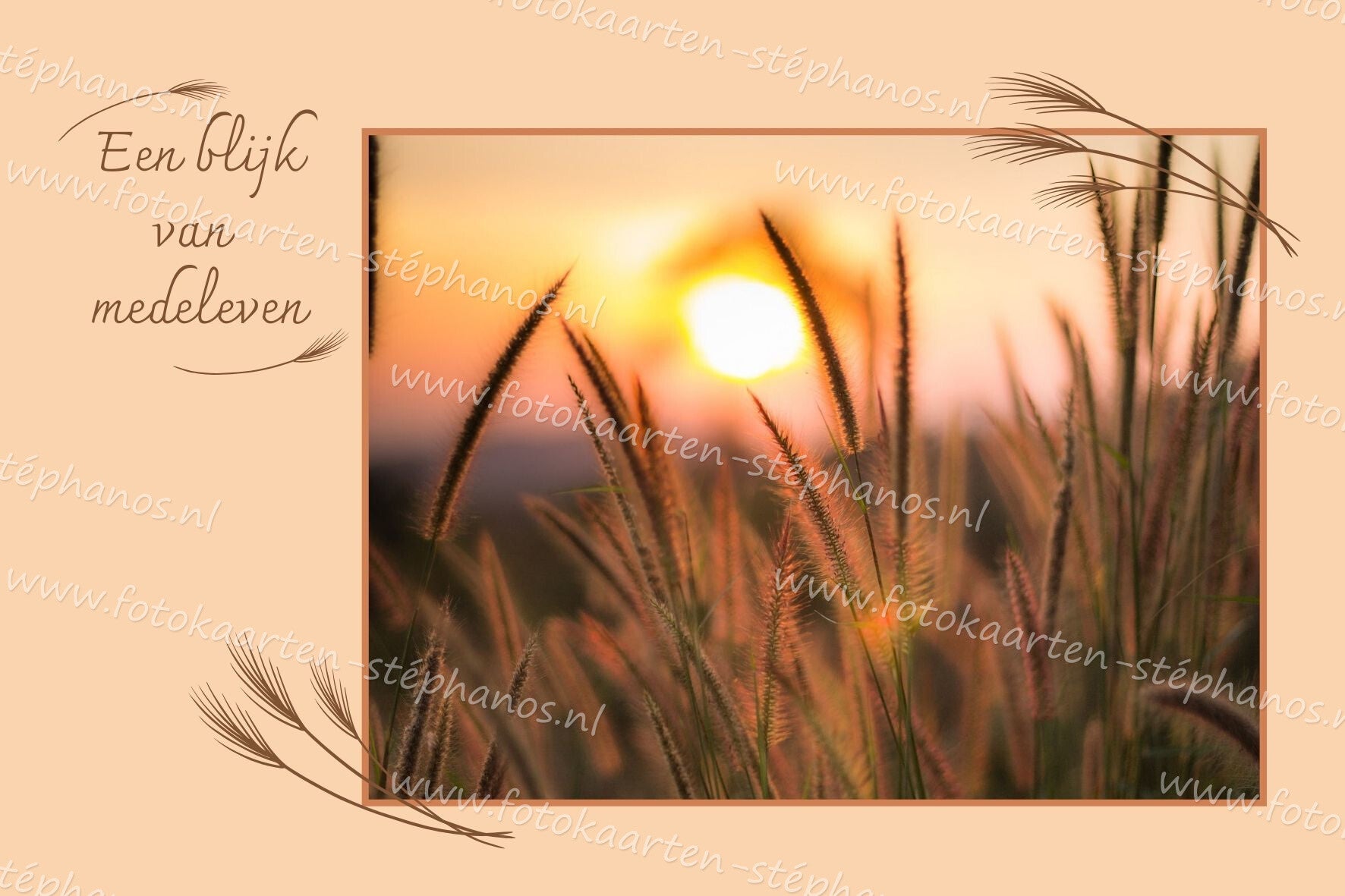 Medeleven - Een blijk van medeleven 08